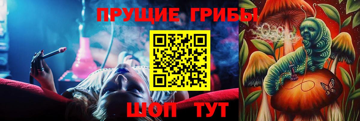 Псилоцибиновые грибы Psilocybe Златоуст