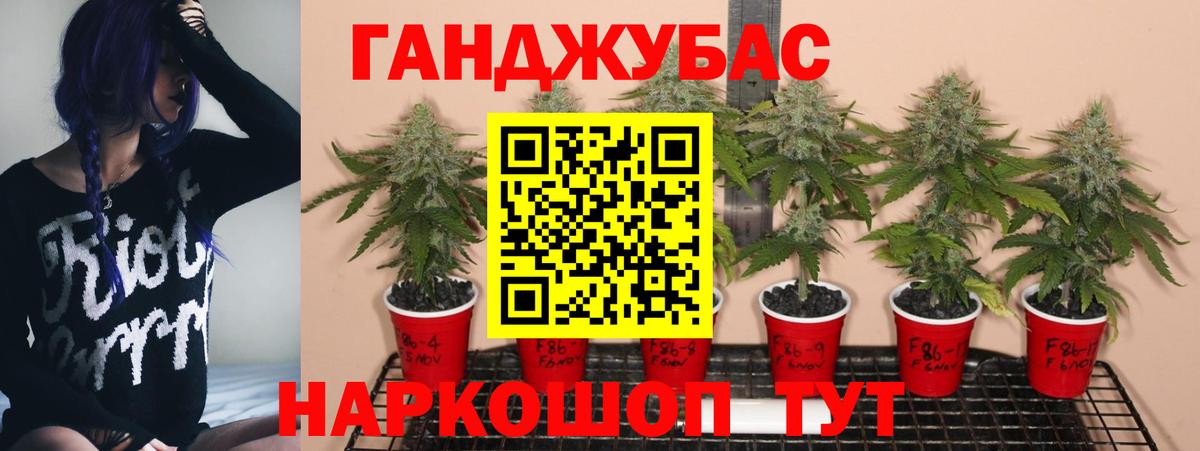 Златоуст  Бошки марихуана AK-47  Вход с VPN  Канабис план 